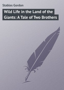 Книга "Wild Life in the Land of the Giants: A Tale of Two Brothers" – Gordon Stables
