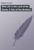 Wild Life in the Land of the Giants: A Tale of Two Brothers (Gordon Stables)