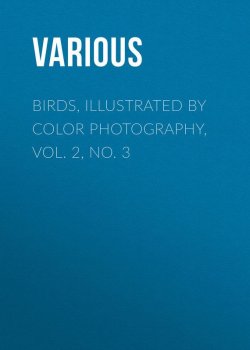 Книга "Birds, Illustrated by Color Photography, Vol. 2, No. 3" – Various