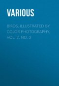 Birds, Illustrated by Color Photography, Vol. 2, No. 3 (Various)