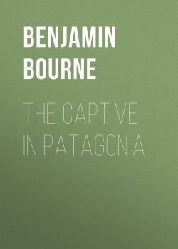 Книга "The Captive in Patagonia" – Benjamin Franklin, Benjamin Bourne