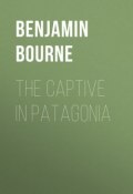 The Captive in Patagonia (Benjamin Franklin, Benjamin Bourne)