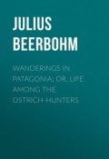 Wanderings in Patagonia; Or, Life Among the Ostrich-Hunters (Julius Beerbohm)