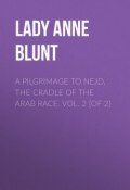 A Pilgrimage to Nejd, the Cradle of the Arab Race. Vol. 2 [of 2] (Anne Blunt)