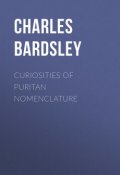 Curiosities of Puritan Nomenclature (Charles Bardsley)