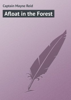 Книга "Afloat in the Forest" – Томас Майн Рид