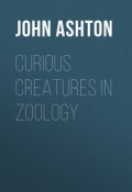 Curious Creatures in Zoology (John Ashton)