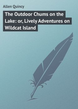 Книга "The Outdoor Chums on the Lake: or, Lively Adventures on Wildcat Island" – Quincy Allen