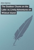 The Outdoor Chums on the Lake: or, Lively Adventures on Wildcat Island (Quincy Allen)