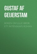 Boken om lille-bror: Ett äktenskaps roman (Gustaf Geijerstam)