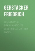 Die Colonie: Brasilianisches Lebensbild. Dritter Band (Friedrich Gerstäcker)