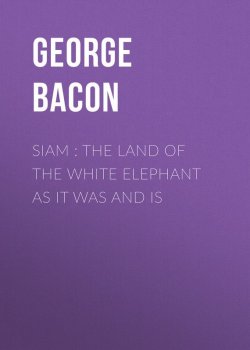 Книга "Siam : The Land of the White Elephant as It Was and Is" – George Bacon