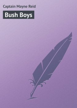 Книга "Bush Boys" – Томас Майн Рид