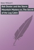 Bob Dexter and the Storm Mountain Mystery or, The Secret of the Log Cabin (Willard Baker)