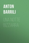 Una notte bizzarra (Anton Barrili)
