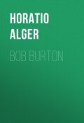 Bob Burton (Horatio Alger)