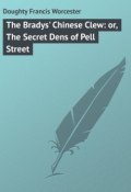 The Bradys' Chinese Clew: or, The Secret Dens of Pell Street (Francis Doughty)