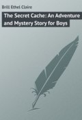 The Secret Cache: An Adventure and Mystery Story for Boys (Ethel Brill)