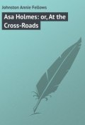 Asa Holmes: or, At the Cross-Roads (Annie Johnston)