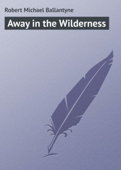 Книга "Away in the Wilderness" – Robert Michael Ballantyne