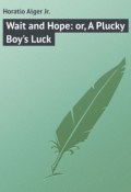 Wait and Hope: or, A Plucky Boy's Luck (Horatio Alger)