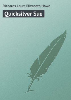 Книга "Quicksilver Sue" – Laura Richards