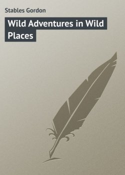 Книга "Wild Adventures in Wild Places" – Gordon Stables