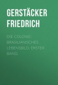 Die Colonie: Brasilianisches Lebensbild. Erster Band. (Friedrich Gerstäcker)