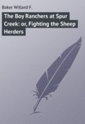 The Boy Ranchers at Spur Creek: or, Fighting the Sheep Herders (Willard Baker)