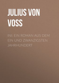 Книга "Ini: Ein Roman aus dem ein und zwanzigsten Jahrhundert" – Julius Voss
