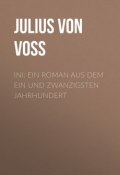 Ini: Ein Roman aus dem ein und zwanzigsten Jahrhundert (Julius Voss)