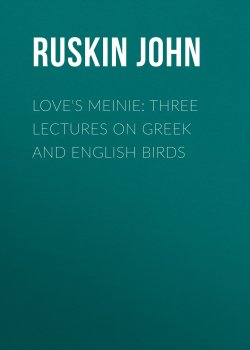 Книга "Love's Meinie: Three Lectures on Greek and English Birds" – John Ruskin