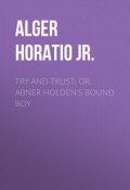 Try and Trust; Or, Abner Holden's Bound Boy (Horatio Alger)