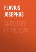 Antiquities of the Jews (Flavius Josephus)