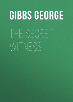 Книга "The Secret Witness" – George Gibbs