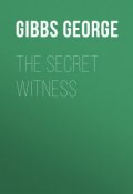 The Secret Witness (George Gibbs)