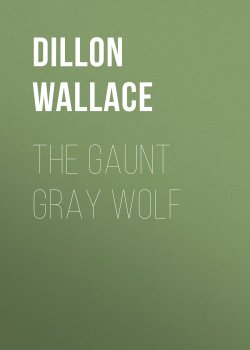 Книга "The Gaunt Gray Wolf" – Dillon Wallace