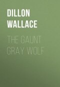 The Gaunt Gray Wolf (Dillon Wallace)