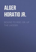 Bound to Rise; Or, Up the Ladder (Horatio Alger)