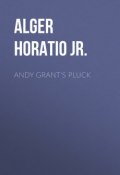 Andy Grant's Pluck (Horatio Alger)