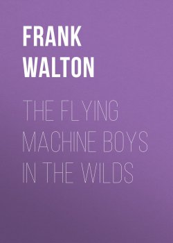 Книга "The Flying Machine Boys in the Wilds" – Frank Walton