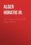 Joe's Luck; Or, Always Wide Awake (Horatio Alger)