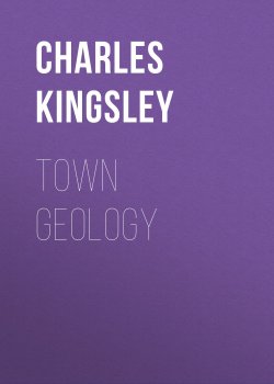Книга "Town Geology" – Charles Kingsley