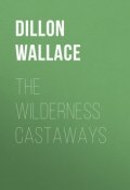 The Wilderness Castaways (Dillon Wallace)
