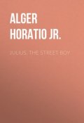 Julius, The Street Boy (Horatio Alger)