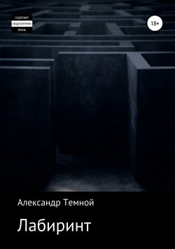 Книга "Лабиринт" – Александр Темной, 2013