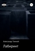 Лабиринт (Темной Александр, 2013)