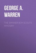 The Banner Boy Scouts Mystery (George A. Warren)