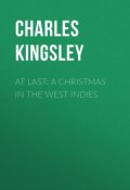 At Last: A Christmas in the West Indies (Charles Kingsley)