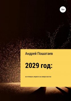 Книга "2029 год: на четверть первого на северо-восток" – Андрей Пошатаев, 2018